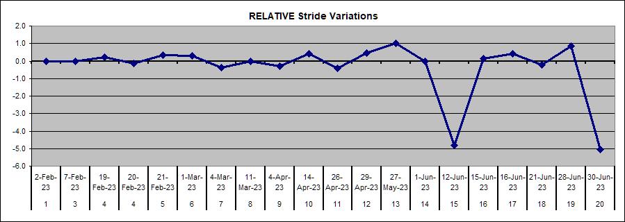 Stride Variation