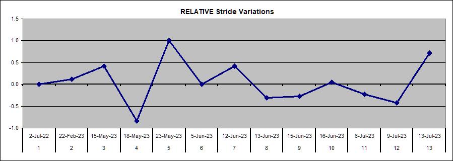 Stride Variation